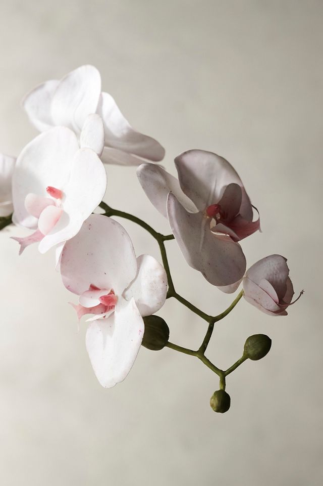 Faux Orchid Stem, White  #1