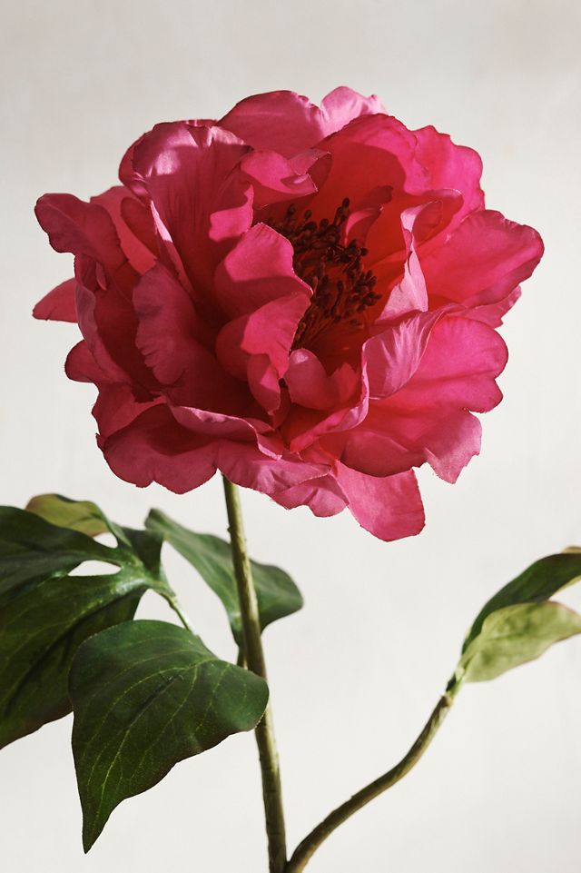 Faux Peony Stem, Pinks #1