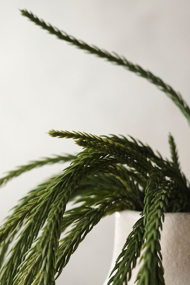 Faux Trailing Succulent #1