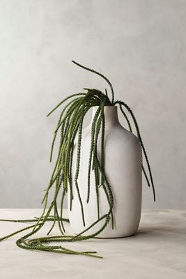 Faux Trailing Succulent