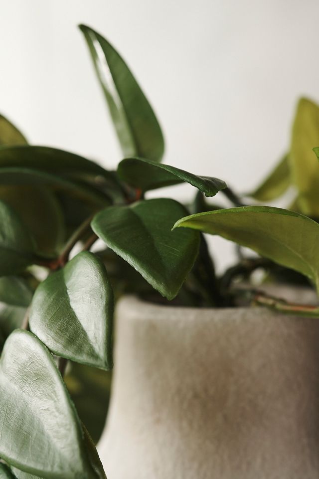 Faux Trailing Leaf Spray #1