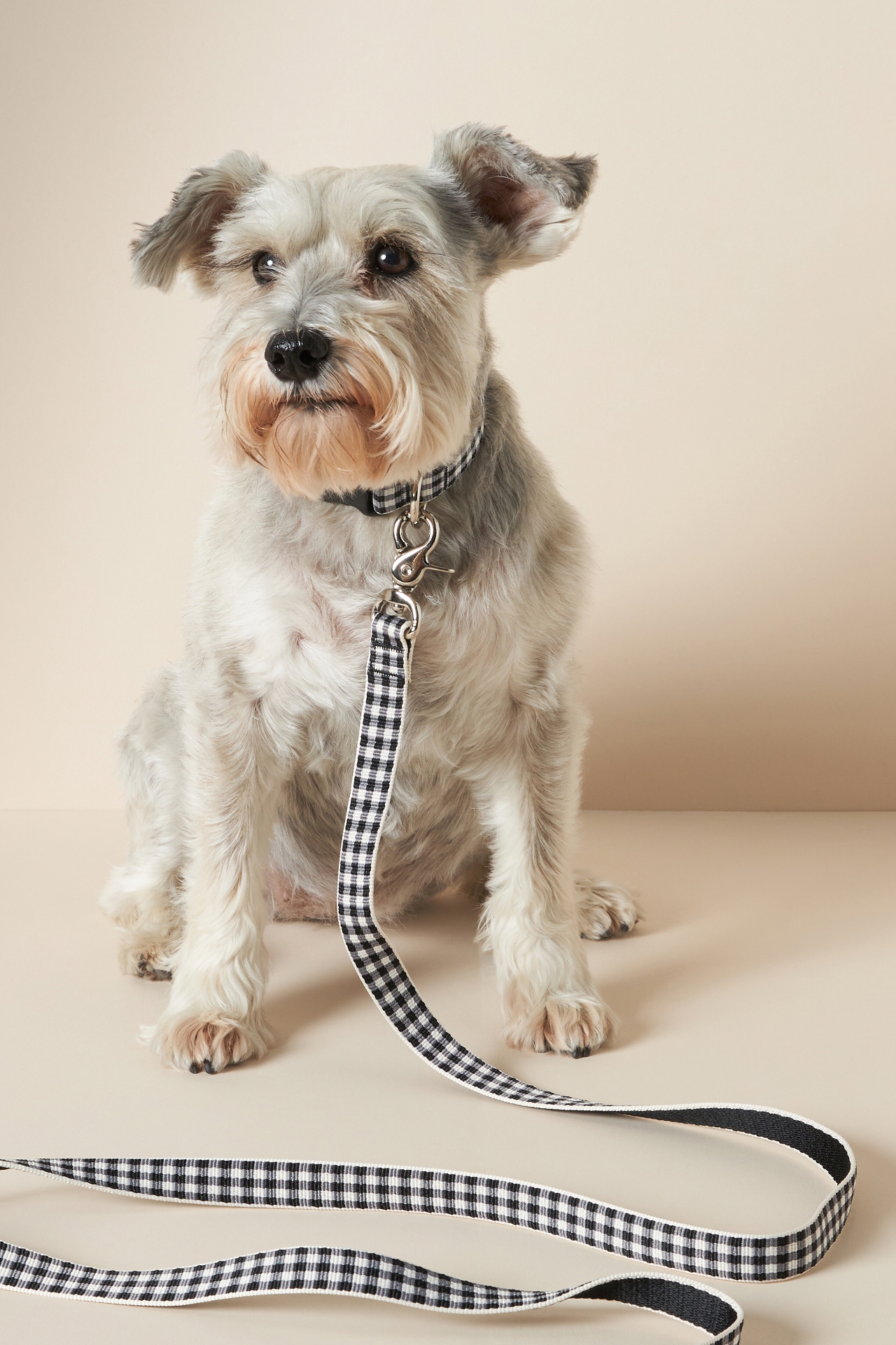 Harry Barker Gingham Collar