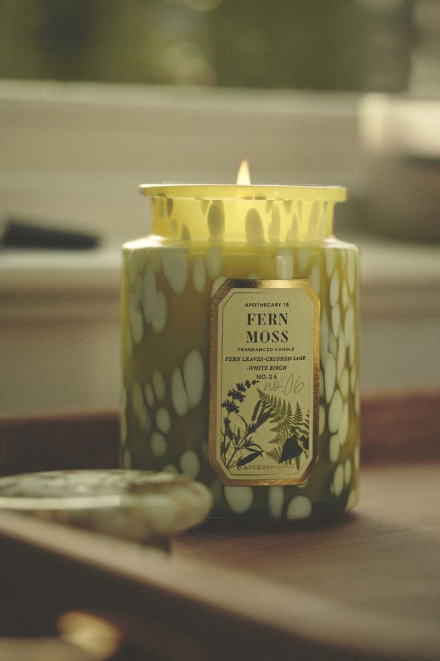 Apothecary 18 Fresh Fern Moss Glass Jar Candle #1