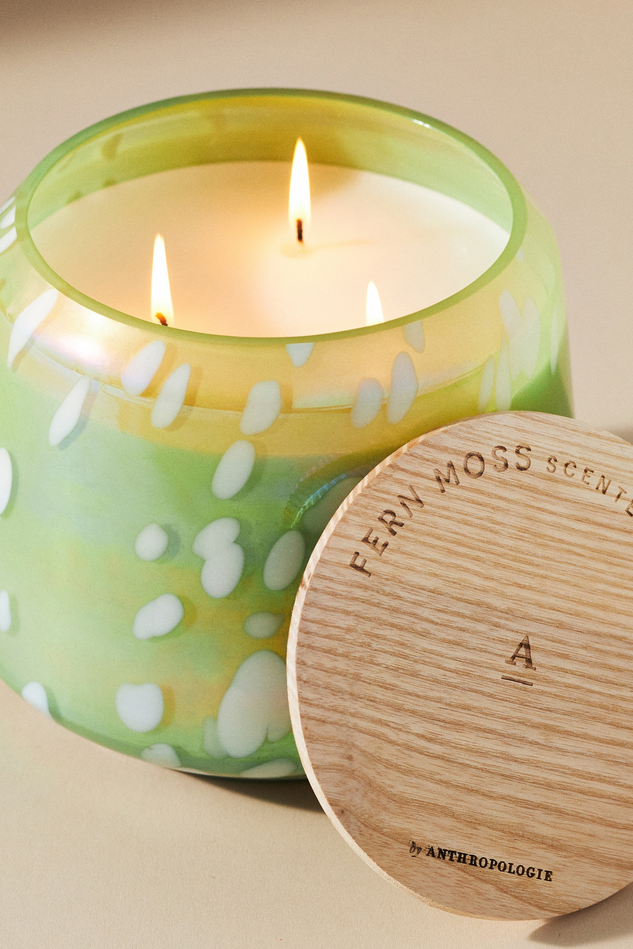 By Anthropologie Fresh Fern Moss Glass Jar Candle