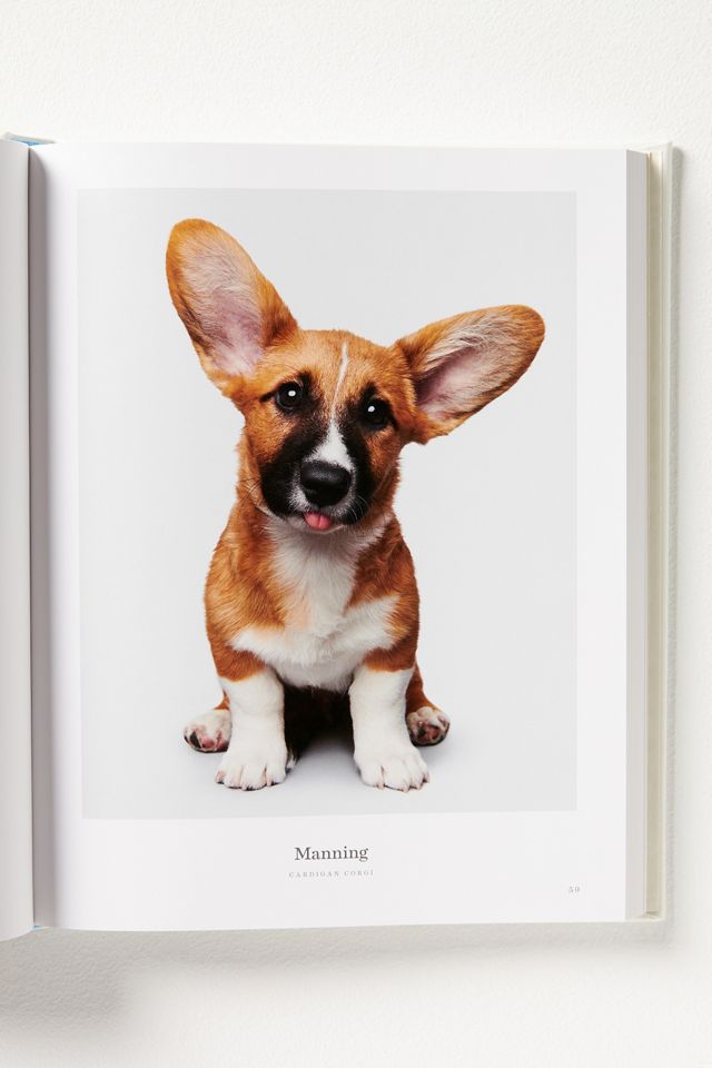 Good Dog: Leather-Bound Edition Hardcover Coffee Table Book #1
