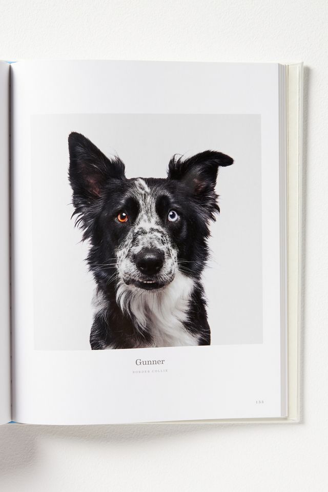 Good Dog: Leather-Bound Edition Hardcover Coffee Table Book #2