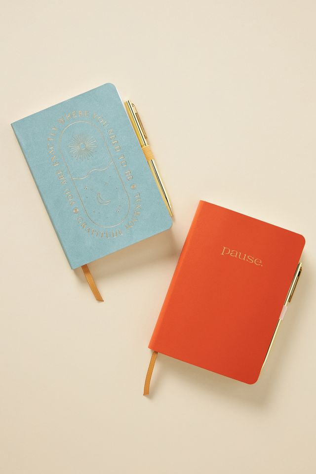 Gratitude Journal #1