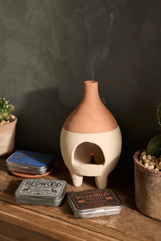 National Park Incense Cones, Set of 25 | Terrain
