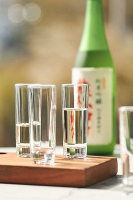 Lucia Acrylic Wine Glasses, Set of 4