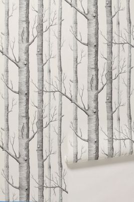 Woods Wallpaper