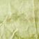 Moss