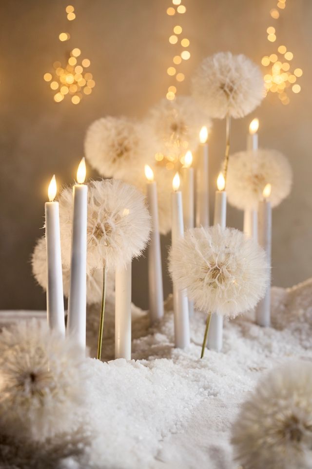 Stargazer LED Tapers, Set of 2 #2