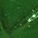 SHAMROCK