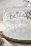 Etched Glass + Marble Cake Dome #2