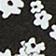 Black & White Pattern