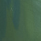 GREEN COMBO