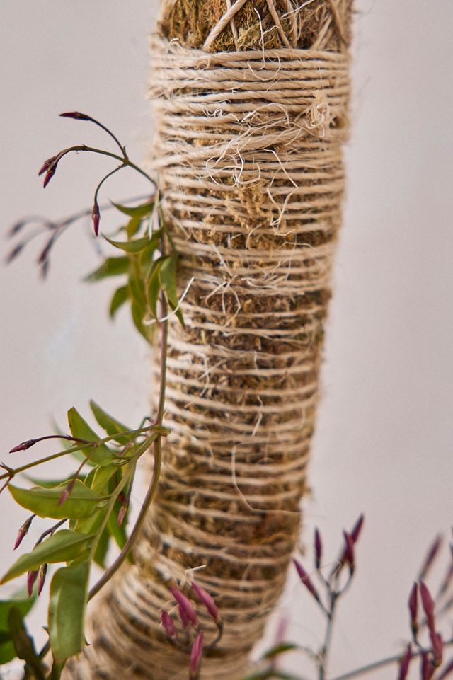 Bendable Plant Support Pole | Terrain