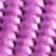 Striking Purple