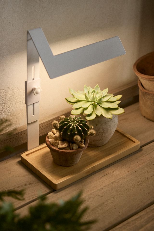 LED Rectangle Grow Light #1