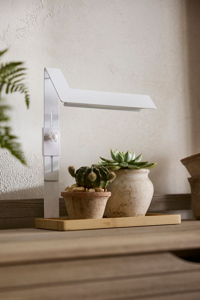 LED Rectangle Grow Light #2
