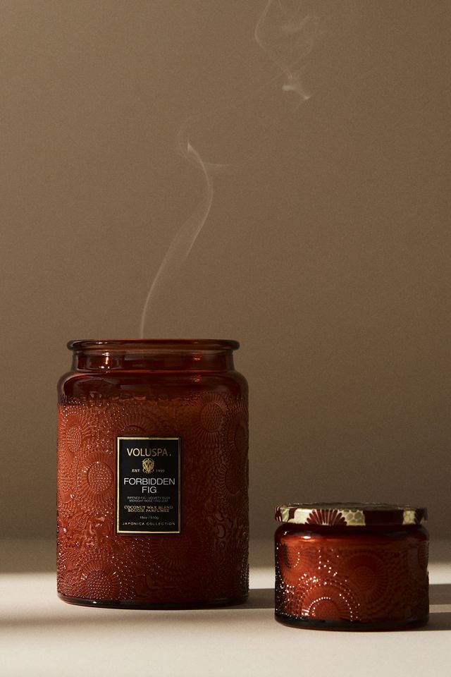 Voluspa Forbidden Fig Mini Jar Candle #3