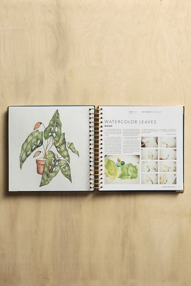 Modern Watercolor Botanicals #2