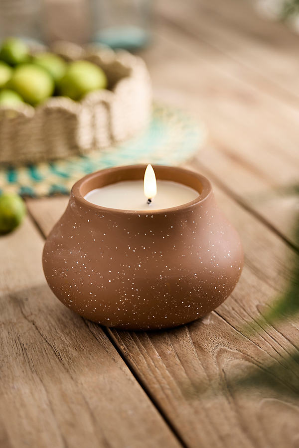 Terrain Outdoor Flameless Bowl Candle In Brown