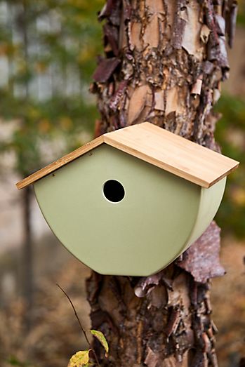 Painted Bamboo Birdhouse