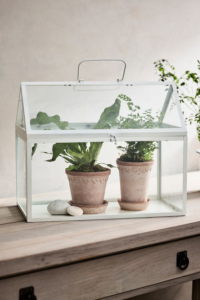 White Rectangular Greenhouse #3
