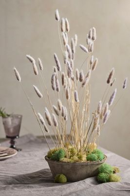 Terrain Dried Bunny Tails Bunch In Gray
