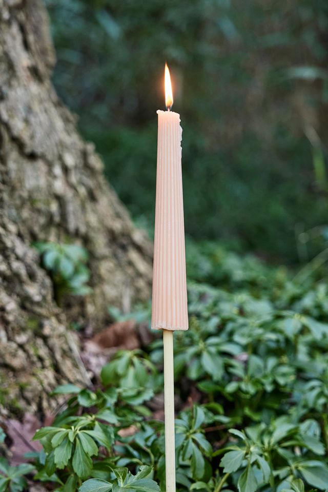 Outdoor Citronella Torch #1