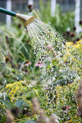 Haws Rose Attachments - Thumbnail 5