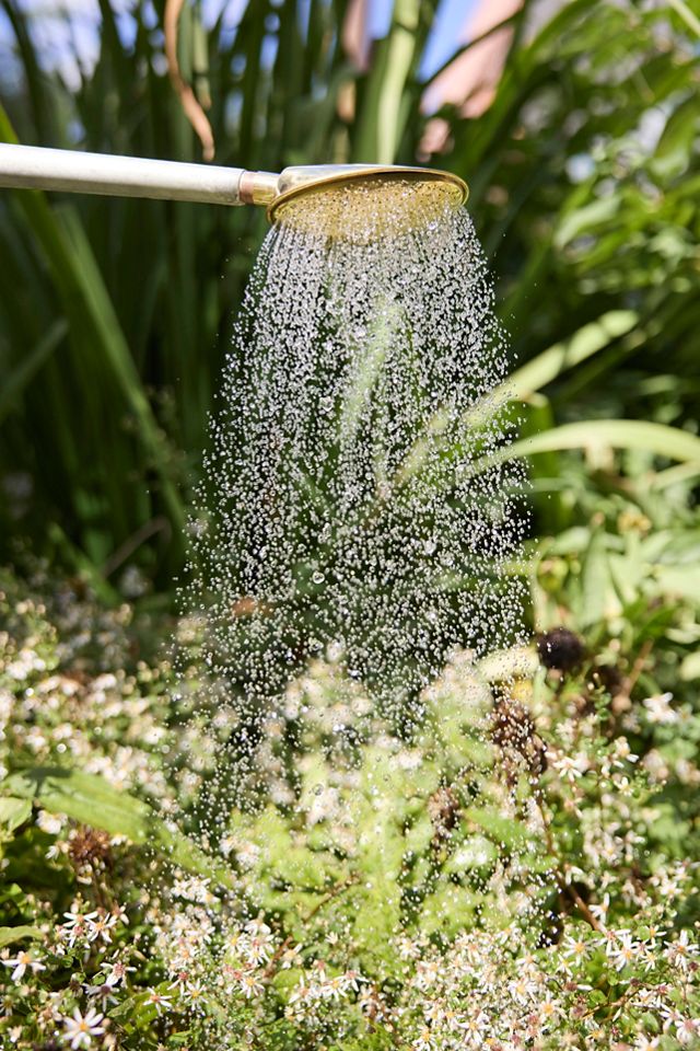 Haws Galvanized Watering Can #1