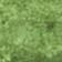 Green Pattern