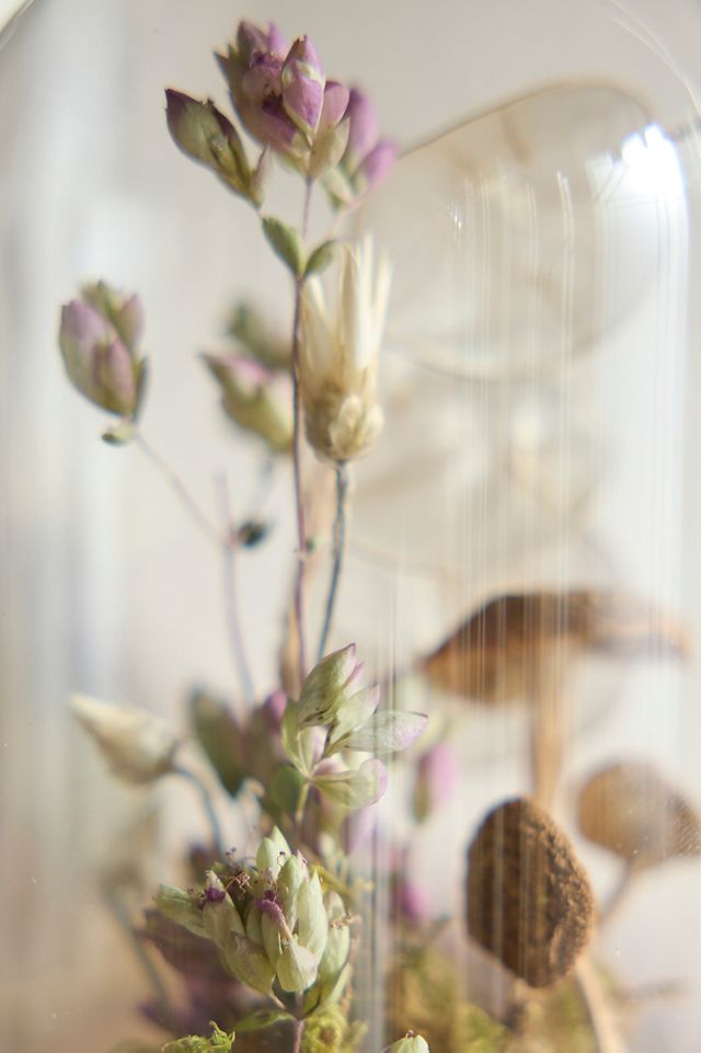 Right Side Hand Flora + Fauna Terrarium, Mini #1