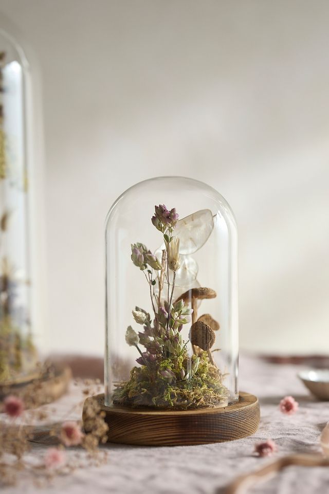 Right Side Hand Flora + Fauna Terrarium, Mini | AnthroLiving