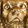 King Charles Cavalier