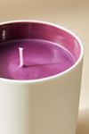 APOTHEKE Birchwood Apple Ceramic Candle