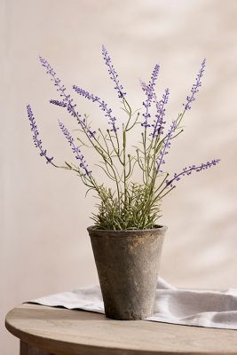 Terrain Faux Lavender Plant In Neutral