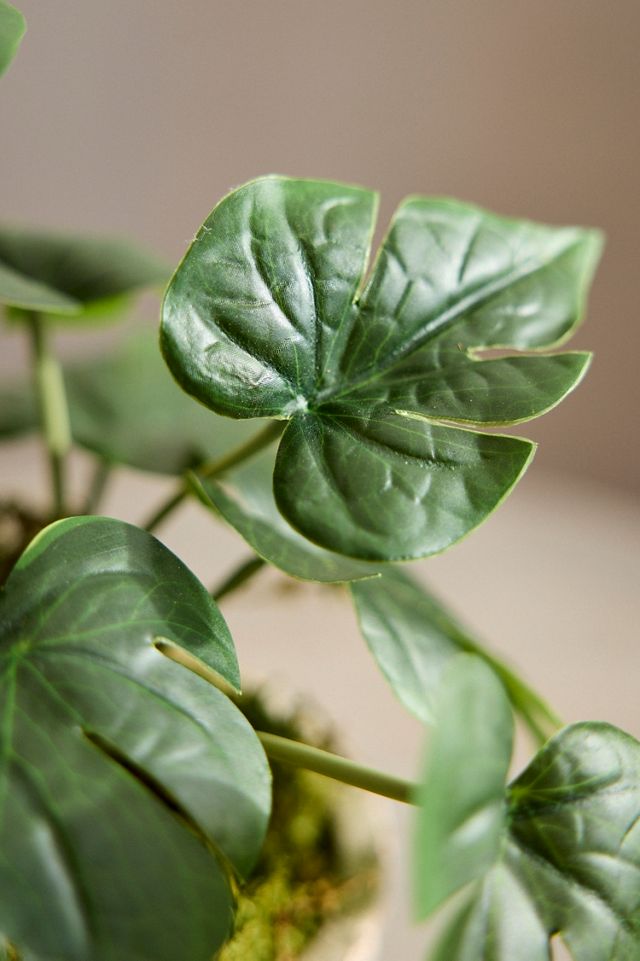 Faux Potted Monstera Plant #1