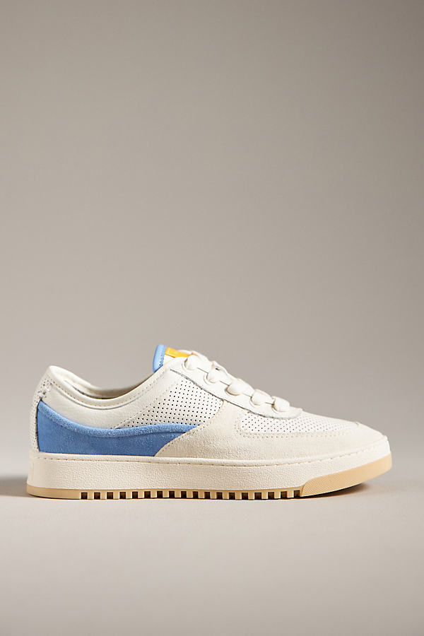 Dolce Vita Cyril Sneakers In Blue