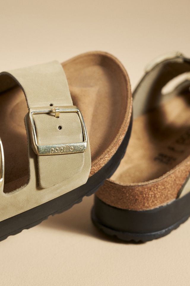 papillio arizona platform