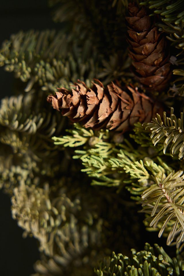 Fresh Noble Fir + Juniper Wreath #1