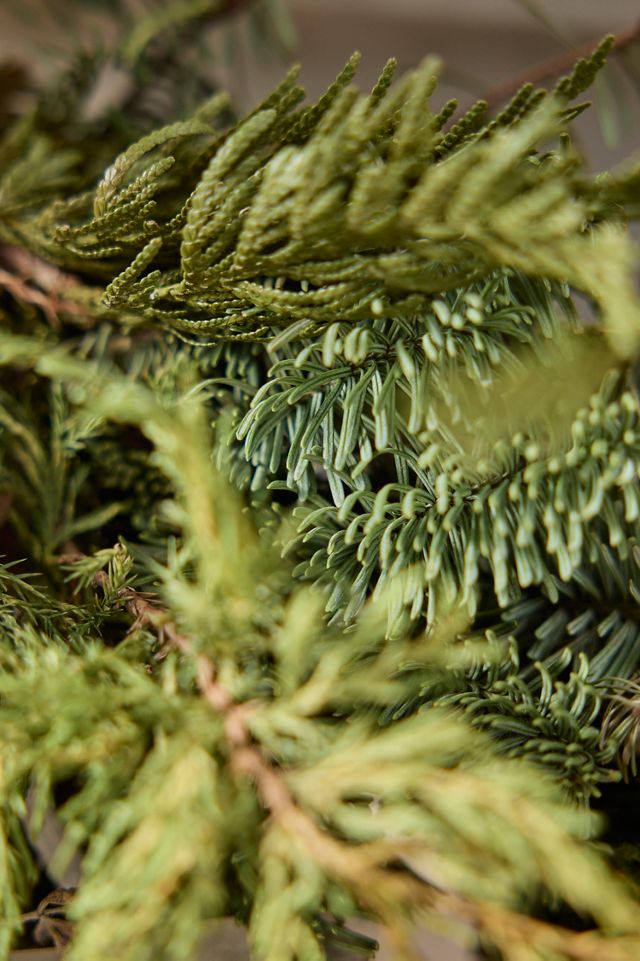 Fresh Lamb’s Ear + Fir Greenery Collection #2