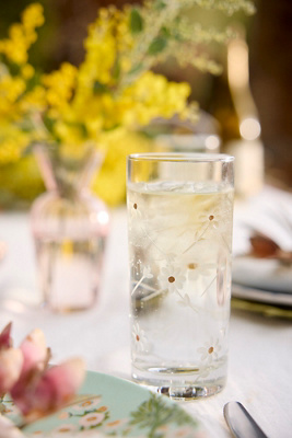 Daisy Etched Juice Glasses, Set of 4