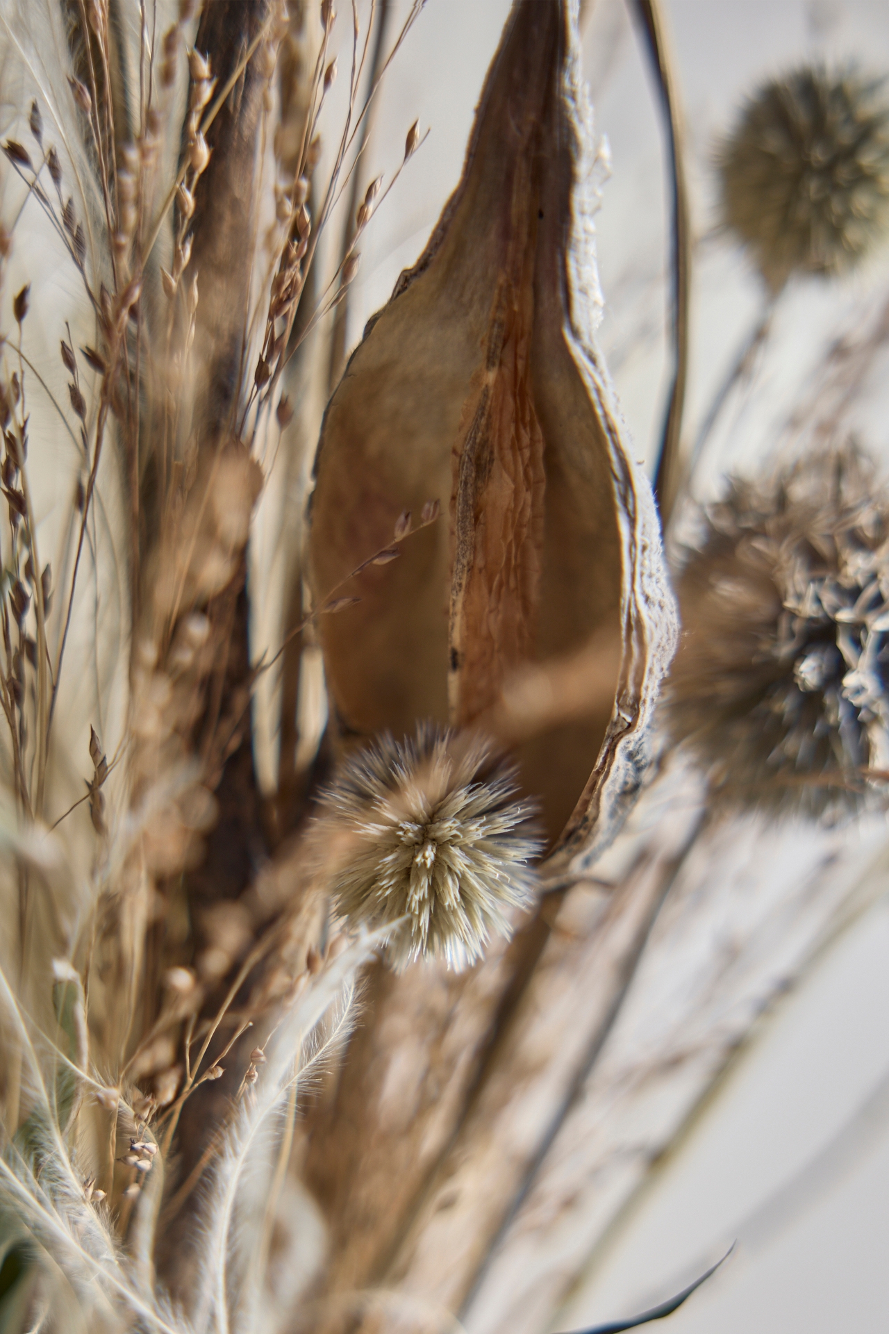 Ashn Earth Harvest Garden Dried Bouquet