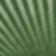 Green Pattern