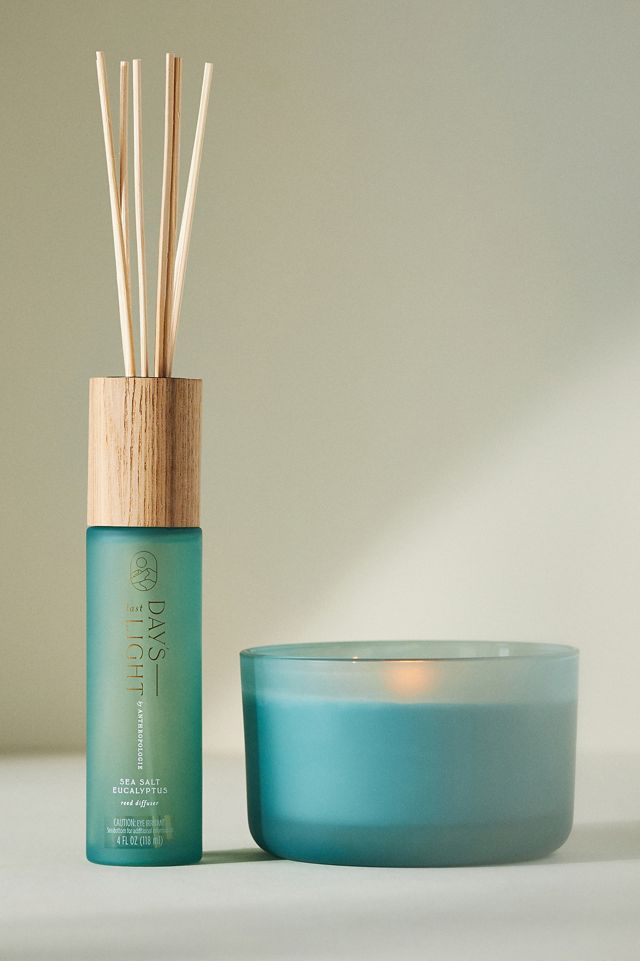 Days Last Light Fresh Sea Salt Eucalyptus Reed Diffuser #1