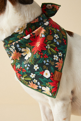 The Foggy Dog x Rifle Paper Co. Bandana - Holiday Cookies main image 0