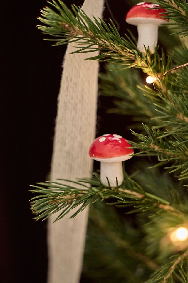 Little Living Tree #1